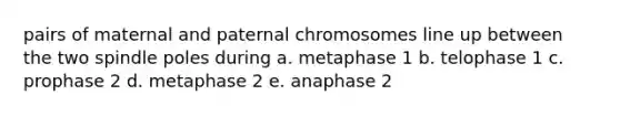 pairs of maternal and paternal chromosomes line up between the two spindle poles during a. metaphase 1 b. telophase 1 c. prophase 2 d. metaphase 2 e. anaphase 2