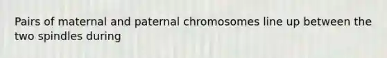 Pairs of maternal and paternal chromosomes line up between the two spindles during