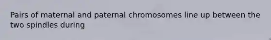 ​Pairs of maternal and paternal chromosomes line up between the two spindles during