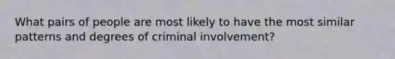 What pairs of people are most likely to have the most similar patterns and degrees of criminal involvement?