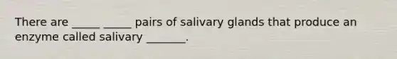 There are _____ _____ pairs of salivary glands that produce an enzyme called salivary _______.