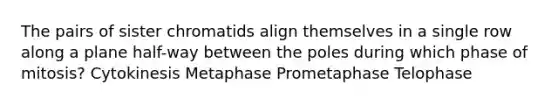 The pairs of sister chromatids align themselves in a single row along a plane half-way between the poles during which phase of mitosis? Cytokinesis Metaphase Prometaphase Telophase