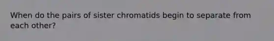 When do the pairs of sister chromatids begin to separate from each other?