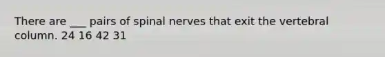 There are ___ pairs of spinal nerves that exit the vertebral column. 24 16 42 31