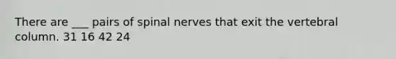 There are ___ pairs of spinal nerves that exit the vertebral column. 31 16 42 24