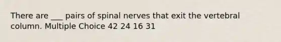 There are ___ pairs of <a href='https://www.questionai.com/knowledge/kyBL1dWgAx-spinal-nerves' class='anchor-knowledge'>spinal nerves</a> that exit the <a href='https://www.questionai.com/knowledge/ki4fsP39zf-vertebral-column' class='anchor-knowledge'>vertebral column</a>. Multiple Choice 42 24 16 31