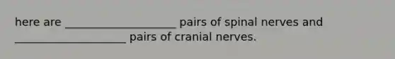 here are ____________________ pairs of spinal nerves and ____________________ pairs of cranial nerves.