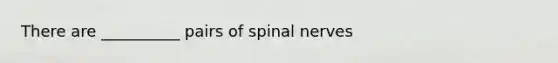 There are __________ pairs of spinal nerves