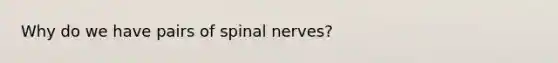 Why do we have pairs of spinal nerves?