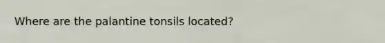 Where are the palantine tonsils located?