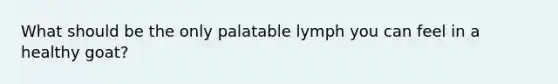 What should be the only palatable lymph you can feel in a healthy goat?