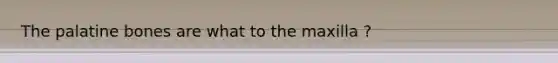 The palatine bones are what to the maxilla ?