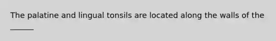 The palatine and lingual tonsils are located along the walls of the ______