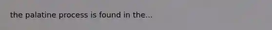 the palatine process is found in the...