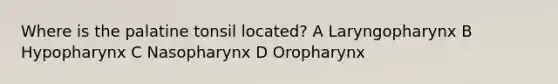 Where is the palatine tonsil​ located? A Laryngopharynx B Hypopharynx C Nasopharynx D Oropharynx