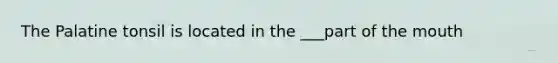 The Palatine tonsil is located in the ___part of the mouth
