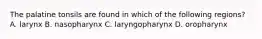The palatine tonsils are found in which of the following regions? A. larynx B. nasopharynx C. laryngopharynx D. oropharynx