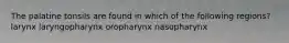The palatine tonsils are found in which of the following regions? larynx laryngopharynx oropharynx nasopharynx
