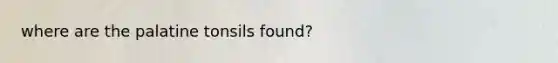 where are the palatine tonsils found?