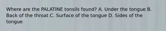 Where are the PALATINE tonsils found? A. Under the tongue B. Back of the throat C. Surface of the tongue D. Sides of the tongue