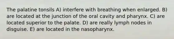 The palatine tonsils A) interfere with breathing when enlarged. B) are located at the junction of the oral cavity and pharynx. C) are located superior to the palate. D) are really lymph nodes in disguise. E) are located in the nasopharynx.