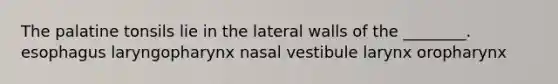 The palatine tonsils lie in the lateral walls of the ________. esophagus laryngopharynx nasal vestibule larynx oropharynx