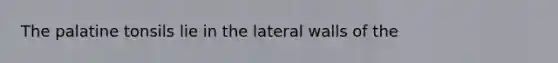 The palatine tonsils lie in the lateral walls of the