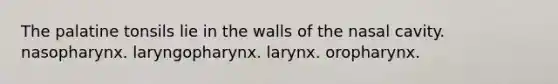 The palatine tonsils lie in the walls of the nasal cavity. nasopharynx. laryngopharynx. larynx. oropharynx.