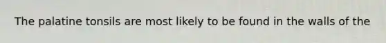 The palatine tonsils are most likely to be found in the walls of the