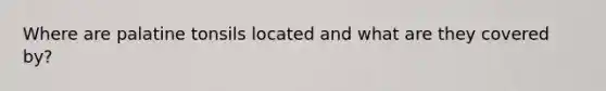 Where are palatine tonsils located and what are they covered by?