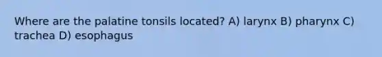 Where are the palatine tonsils located? A) larynx B) pharynx C) trachea D) esophagus