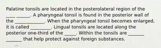 Palatine tonsils are located in the posterolateral region of the ____ ______. A pharyngeal tonsil is found in the posterior wall of the _____________. When the pharyngeal tonsil becomes enlarged, it is called _________. Lingual tonsils are located along the posterior one-third of the _____. Within the tonsils are _______ _______ that help protect against foreign substances.