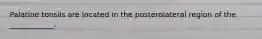 Palatine tonsils are located in the posterolateral region of the ____________.