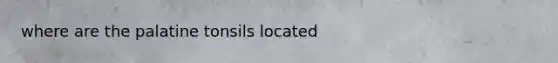 where are the palatine tonsils located