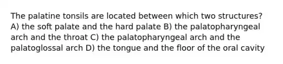 The palatine tonsils are located between which two structures? A) the soft palate and the hard palate B) the palatopharyngeal arch and the throat C) the palatopharyngeal arch and the palatoglossal arch D) the tongue and the floor of the oral cavity