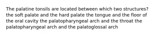 The palatine tonsils are located between which two structures? the soft palate and the hard palate the tongue and the floor of the oral cavity the palatopharyngeal arch and the throat the palatopharyngeal arch and the palatoglossal arch