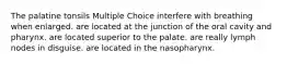 The palatine tonsils Multiple Choice interfere with breathing when enlarged. are located at the junction of the oral cavity and pharynx. are located superior to the palate. are really lymph nodes in disguise. are located in the nasopharynx.
