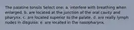 The palatine tonsils Select one: a. interfere with breathing when enlarged. b. are located at the junction of the oral cavity and pharynx. c. are located superior to the palate. d. are really lymph nodes in disguise. e. are located in the nasopharynx.