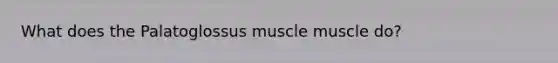 What does the Palatoglossus muscle muscle do?