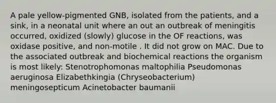 A pale yellow-pigmented GNB, isolated from the patients, and a sink, in a neonatal unit where an out an outbreak of meningitis occurred, oxidized (slowly) glucose in the OF reactions, was oxidase positive, and non-motile . It did not grow on MAC. Due to the associated outbreak and <a href='https://www.questionai.com/knowledge/kVn7fMxiFS-biochemical-reactions' class='anchor-knowledge'>biochemical reactions</a> the organism is most likely: Stenotrophomonas maltophilia Pseudomonas aeruginosa Elizabethkingia (Chryseobacterium) meningosepticum Acinetobacter baumanii