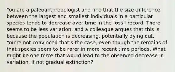 You are a paleoanthropologist and find that the size difference between the largest and smallest individuals in a particular species tends to decrease over time in the fossil record. There seems to be less variation, and a colleague argues that this is because the population is decreasing, potentially dying out. You're not convinced that's the case, even though the remains of that species seem to be rarer in more recent time periods. What might be one force that would lead to the observed decrease in variation, if not gradual extinction?