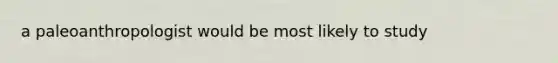 a paleoanthropologist would be most likely to study