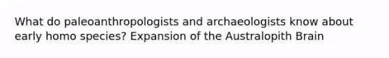 What do paleoanthropologists and archaeologists know about early homo species? Expansion of the Australopith Brain