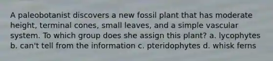 A paleobotanist discovers a new fossil plant that has moderate height, terminal cones, small leaves, and a simple vascular system. To which group does she assign this plant? a. lycophytes b. can't tell from the information c. pteridophytes d. whisk ferns