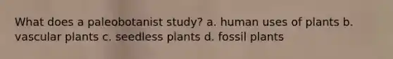 What does a paleobotanist study? a. human uses of plants b. vascular plants c. seedless plants d. fossil plants