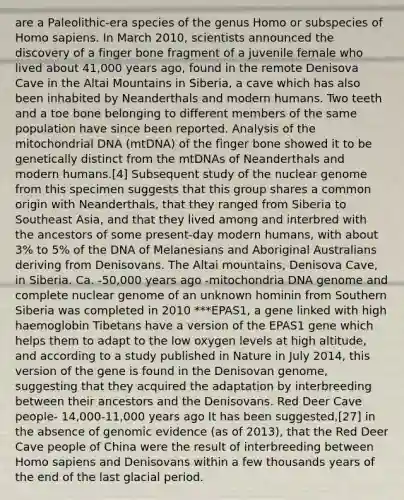 are a Paleolithic-era species of the genus Homo or subspecies of Homo sapiens. In March 2010, scientists announced the discovery of a finger bone fragment of a juvenile female who lived about 41,000 years ago, found in the remote Denisova Cave in the Altai Mountains in Siberia, a cave which has also been inhabited by Neanderthals and modern humans. Two teeth and a toe bone belonging to different members of the same population have since been reported. Analysis of the mitochondrial DNA (mtDNA) of the finger bone showed it to be genetically distinct from the mtDNAs of Neanderthals and modern humans.[4] Subsequent study of the nuclear genome from this specimen suggests that this group shares a common origin with Neanderthals, that they ranged from Siberia to Southeast Asia, and that they lived among and interbred with the ancestors of some present-day modern humans, with about 3% to 5% of the DNA of Melanesians and Aboriginal Australians deriving from Denisovans. The Altai mountains, Denisova Cave, in Siberia. Ca. -50,000 years ago -mitochondria DNA genome and complete nuclear genome of an unknown hominin from Southern Siberia was completed in 2010 ***EPAS1, a gene linked with high haemoglobin Tibetans have a version of the EPAS1 gene which helps them to adapt to the low oxygen levels at high altitude, and according to a study published in Nature in July 2014, this version of the gene is found in the Denisovan genome, suggesting that they acquired the adaptation by interbreeding between their ancestors and the Denisovans. Red Deer Cave people- 14,000-11,000 years ago It has been suggested,[27] in the absence of genomic evidence (as of 2013), that the Red Deer Cave people of China were the result of interbreeding between Homo sapiens and Denisovans within a few thousands years of the end of the last glacial period.