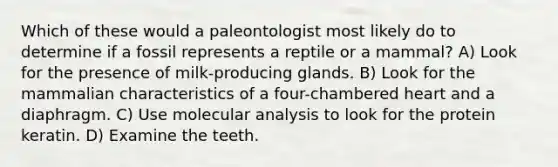 Which of these would a paleontologist most likely do to determine if a fossil represents a reptile or a mammal? A) Look for the presence of milk-producing glands. B) Look for the mammalian characteristics of a four-chambered heart and a diaphragm. C) Use molecular analysis to look for the protein keratin. D) Examine the teeth.