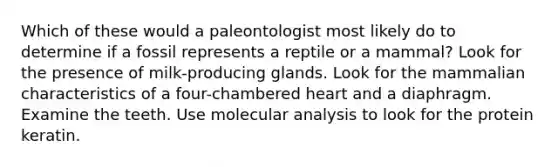 Which of these would a paleontologist most likely do to determine if a fossil represents a reptile or a mammal? Look for the presence of milk-producing glands. Look for the mammalian characteristics of a four-chambered heart and a diaphragm. Examine the teeth. Use molecular analysis to look for the protein keratin.