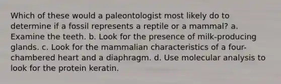 Which of these would a paleontologist most likely do to determine if a fossil represents a reptile or a mammal? a. Examine the teeth. b. Look for the presence of milk-producing glands. c. Look for the mammalian characteristics of a four-chambered heart and a diaphragm. d. Use molecular analysis to look for the protein keratin.