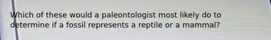 Which of these would a paleontologist most likely do to determine if a fossil represents a reptile or a mammal?